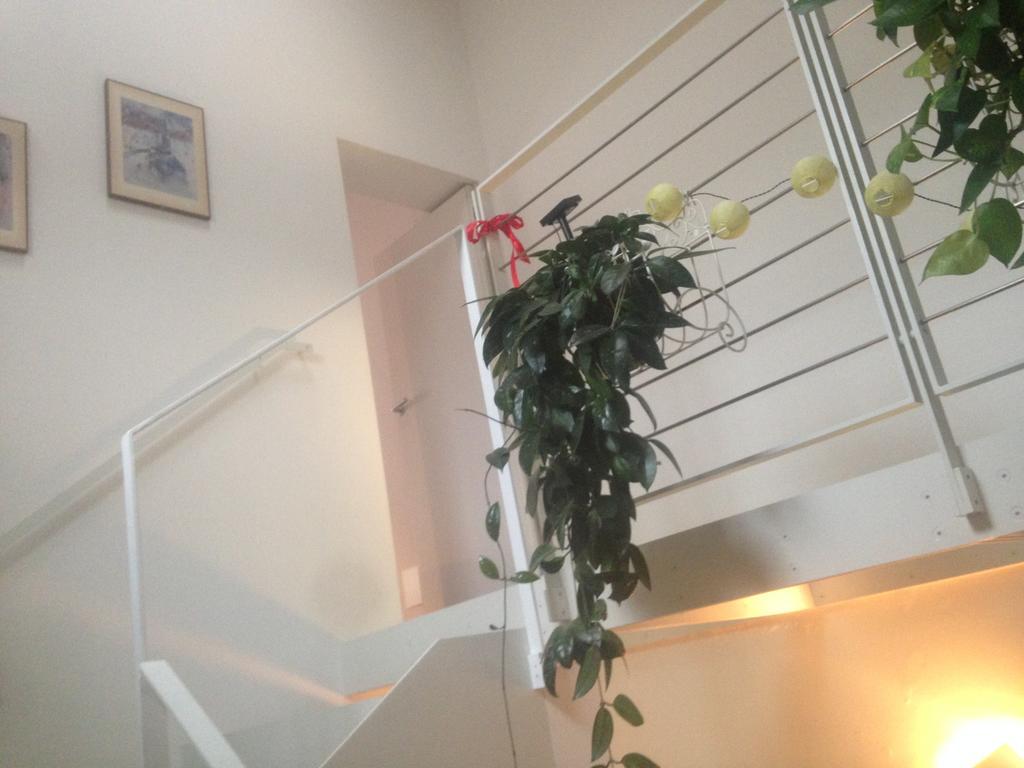 La Casina Apartment Parma Bagian luar foto